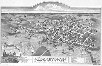 1886 Edgartown Birdseye View.