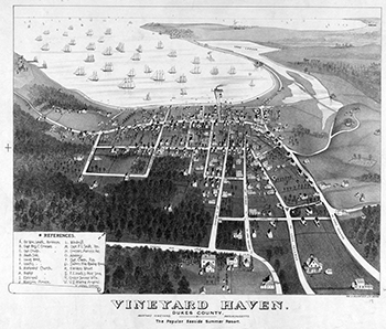 1890 Vineyard Haven Birdseye View.