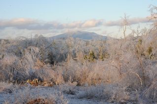 Monadnock after 2008 ice storm