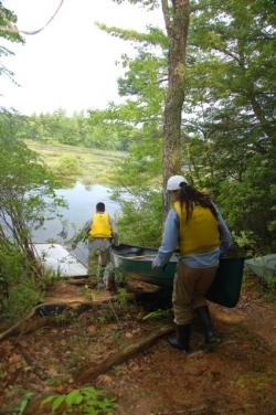 Summer students head to Harvard Pond with a canoe