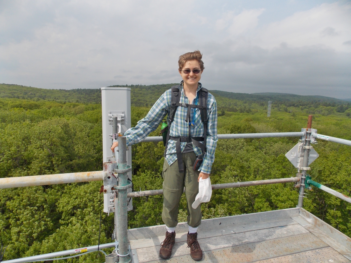 [Alison Ochs at the top of a research tower in the Prospect Hill tract of Harvard Forest]