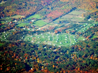 aerial view of houses perforating a forested landscape