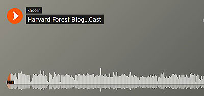 Harvard Forest Podcast