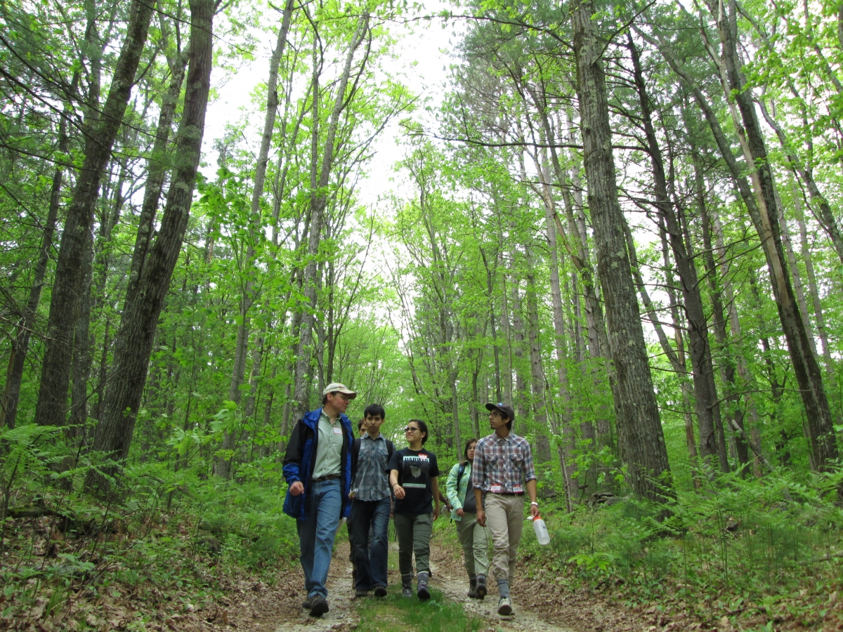 [REU students walking with Brian Hall on a tour of the Prospect Hill tract.]