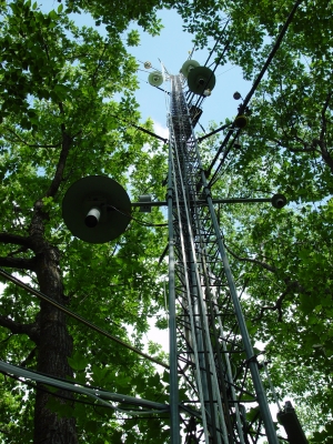 The oldest forest eddy-flux tower in the world stands in a hardwood forest measuring atmospheric carbon dioxide. Photo by David Foster.