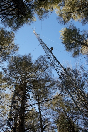 Two eddy-flux research towers stand against the sky among hemlock trees with thinning canopies, measuring atmospheric carbon dioxide at Harvard Forest. Photo by David Foster.
