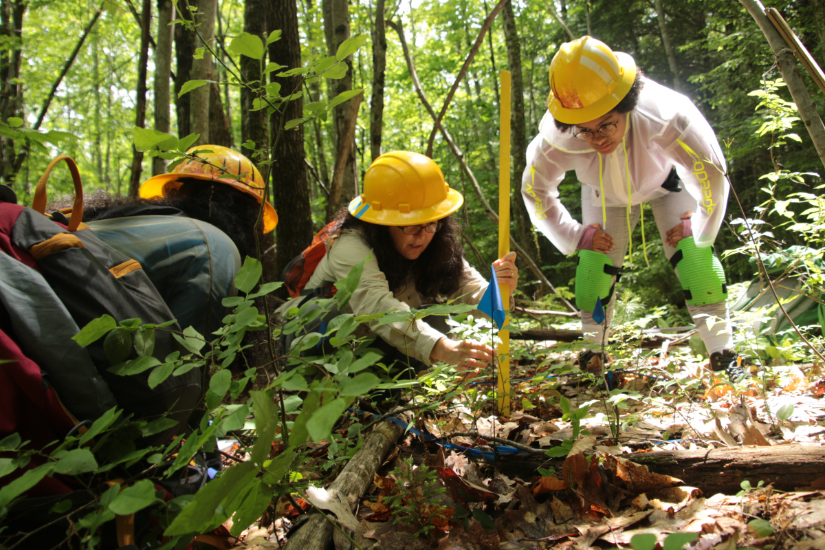 two Summer Research Program students and their mentor measure plants in the forest