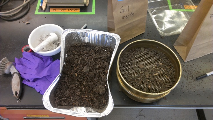 [Sieved soil in the lab that eventually becomes….]