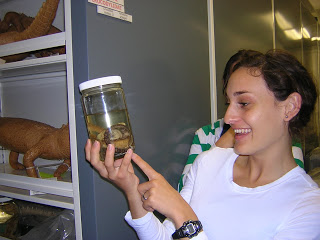 [Meredith Kueny checks out specimens of two-headed snakes.] 