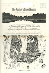 Northern Forest Forum Volume 2 Number 1 cover image