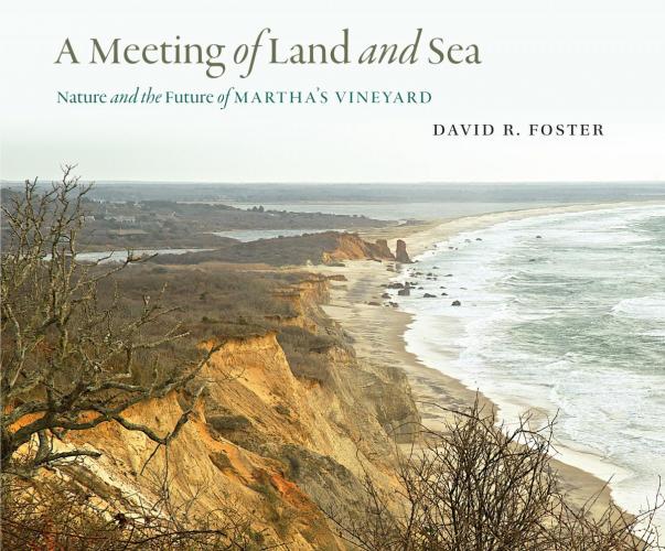 A Meeting of Land and Sea cover