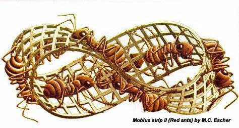 Mobius Strip (Red Ants)