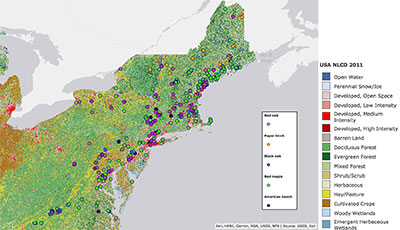 [Distribution of study trees and their respective land cover classification]