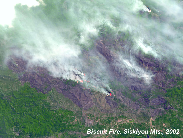 Biscuit Fire Siskiyou Mountains