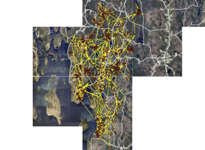 [GPS locations of an individual moose in the Northeast Quabbin landscape]