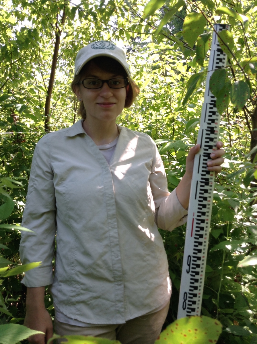 [REU student Alayna Johnson, holding a stadia rod, which is used to measure trees, in order to understand how productive the regenerating forest at a research site is]