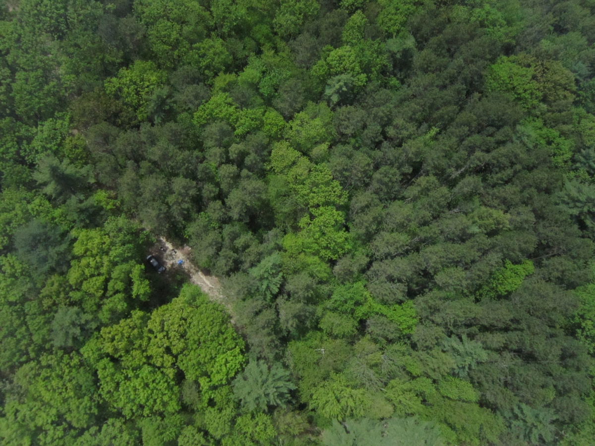 [Picture of the launch site taken by the drone just as it makes it through the trees to fly over the canopy]