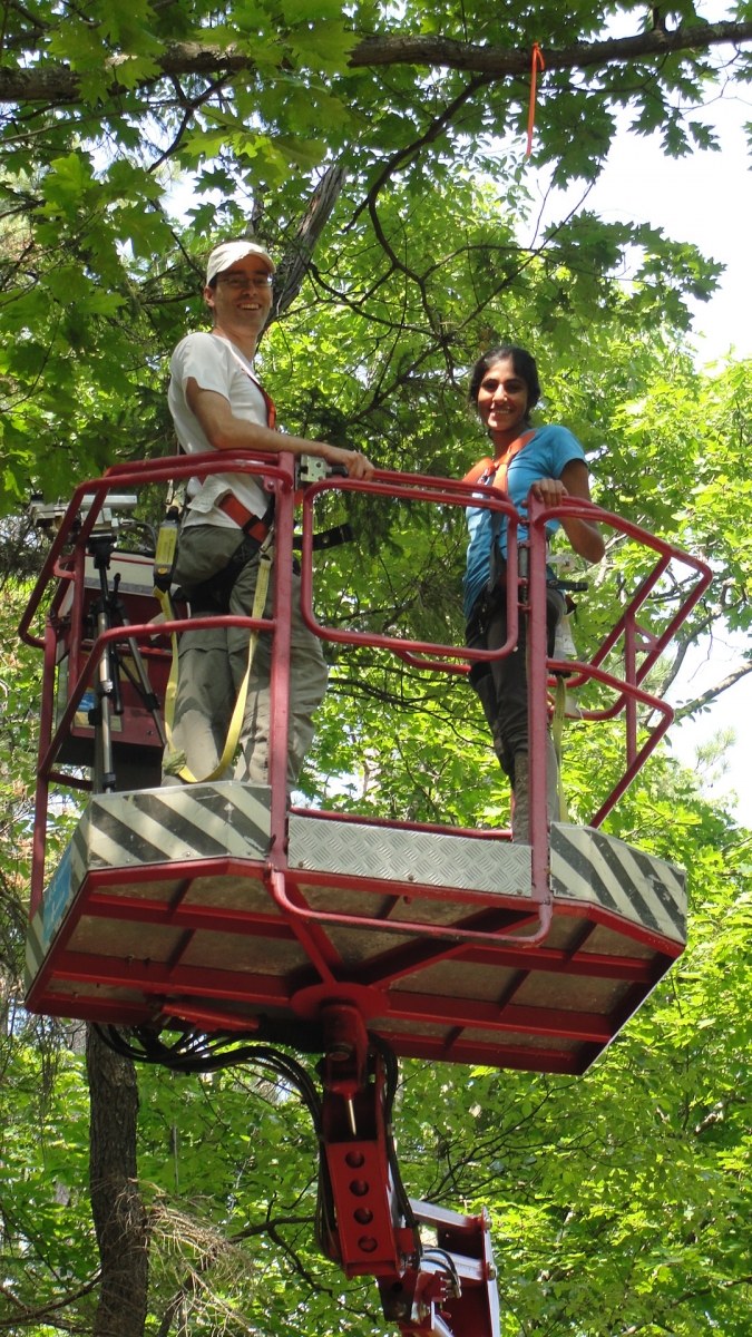 [Jessica and her mentor, Scott Saleska, up in the canopy at Harvard Forest]