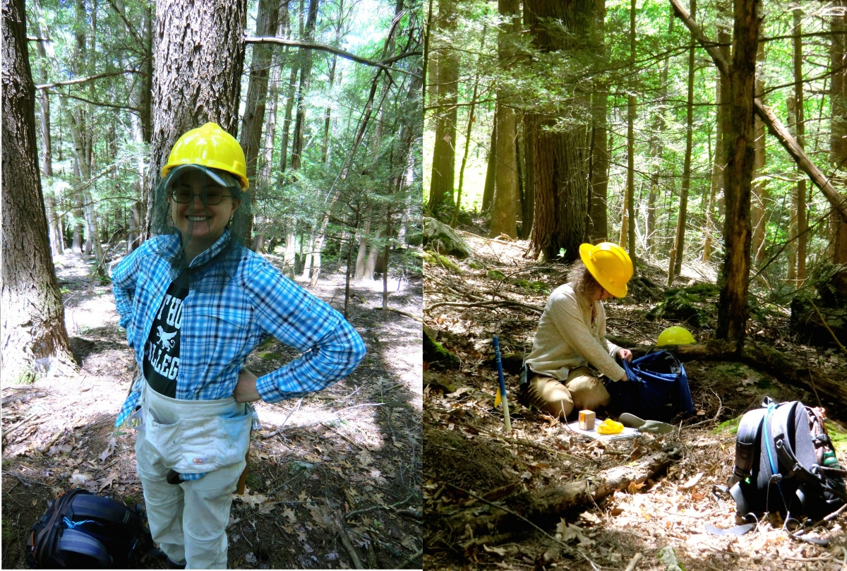 [Alison and Audrey prepare for a day of measuring trees by getting on bug gear and organizing data sheets. The hard hats are important in the girdled plots, where slowly dying trees may unexpectedly drop some of their branches.]
