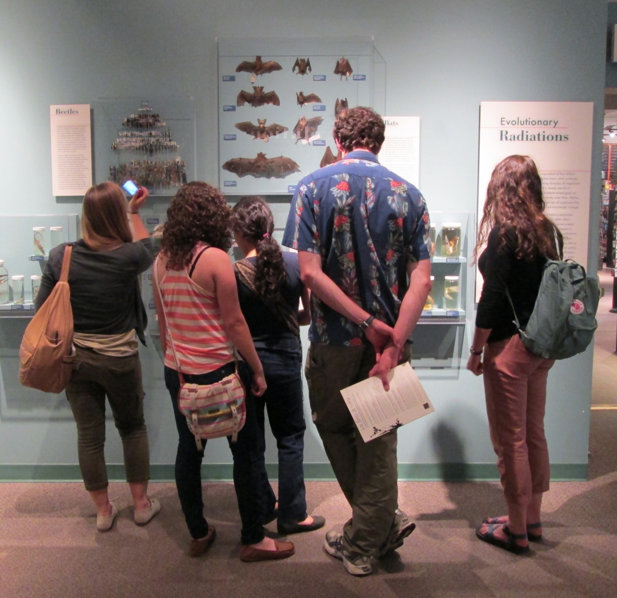 [Summer Program students at the Harvard Museum of Natural History.]