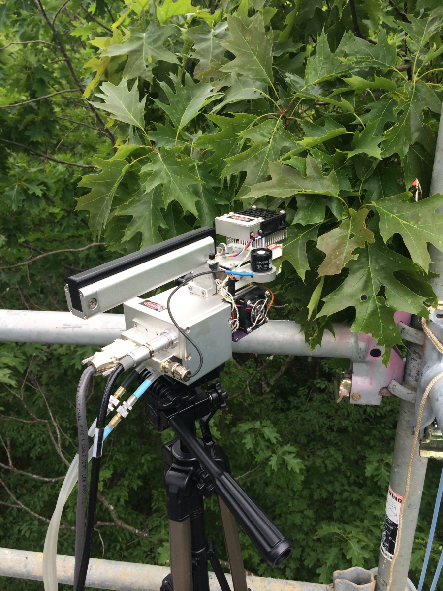 [Taking measurements of a leaf with the Li-Cor 6400]