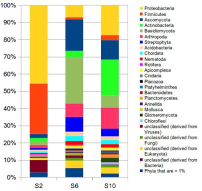 [This graph shows how three different samples of soil (the vertical bars) can have very different assemblages of microbes. Each type of microbe is represented by a different color and the size of the color blocks shows the relative abundance of that microbe.]