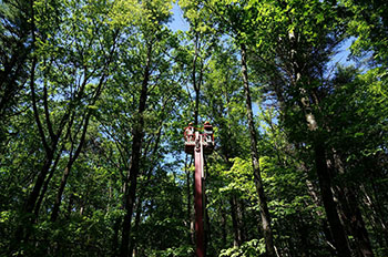 [Taking "Bucky" up into the canopy to remove PhenoCam equipment. Photo by Johnny Buck]
