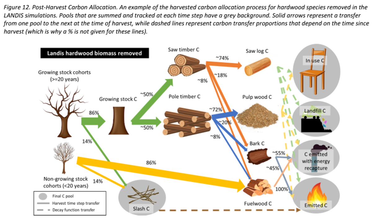 This figure shows a diagram of post-harvest carbon allocation and can be found as Figure 12 in the Land Sector Report.