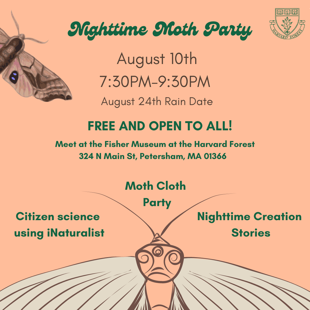 Image shows event details described to the right adjacent to a depiction of a moth.