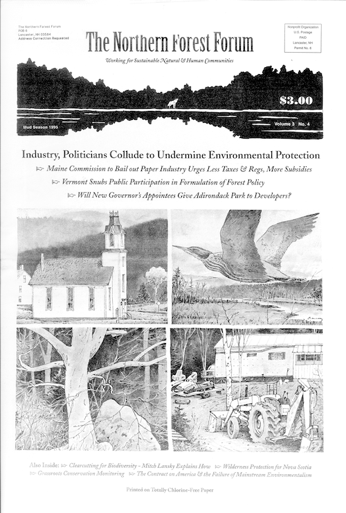 Northern Forest Forum Volume 3 Number 4 cover image
