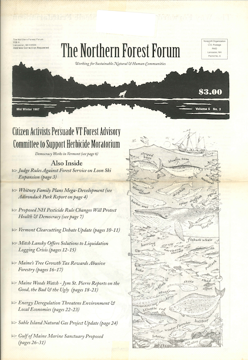 Northern Forest Forum Volume 5 Number 3 cover image