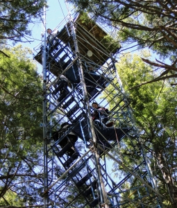 Walk up Tower at Harvard Forest
