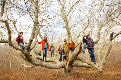 Student pose on large tree at Harvard Forest