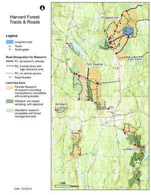 All Harvard Forest Tracts