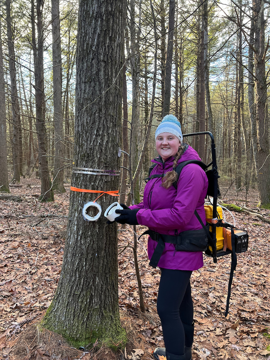 Image shows Annabelle Rayson attaching a methane measurement device to a tree in the winter.