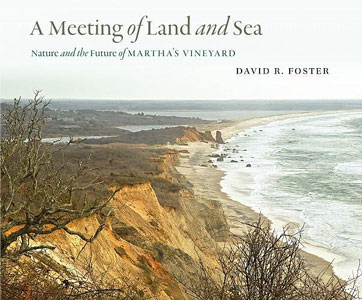 A Meeting of Land and Sea - Book Cover