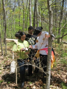 Three students work together to collect data on tree growth in the forest.