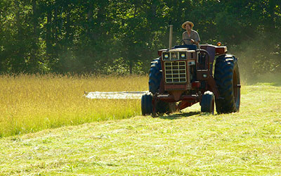 Tractor in Field