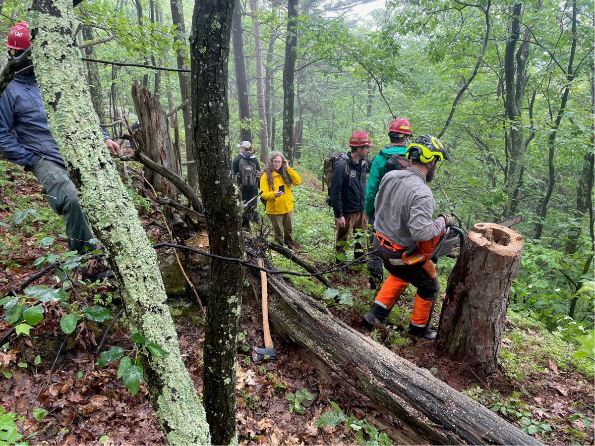 Photo shows Stambaugh working with a group of fire managers and scientists at Green Mountain National Forest in Vermont