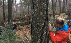 Harvard Forest Tree Ring Lab Team establishing plots in an old-growth forest in northern New Jersey in November 2018. While the oldest trees in this forest date to the late 1500s, the northern red oak and trees of other species make a small cohort of recruitment in the late 1700s.