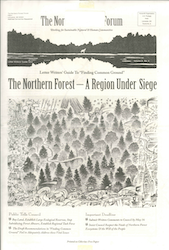 Northern Forest Forum Volume 2 Number 5 cover image