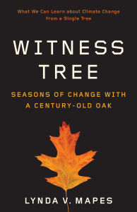 Witness Tree Book Cover