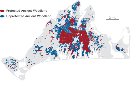 Ancient Woodlands Map