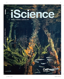 iScience cover photo thumbnail