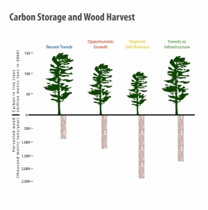 figure 3: carbon and wood