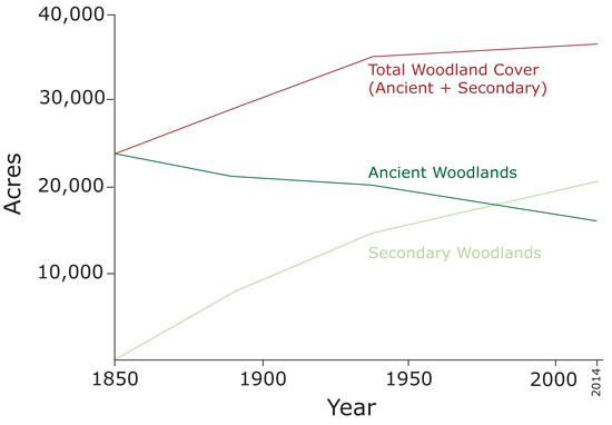 Forest cover over time