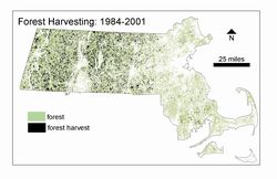 Forest Harvesting Map