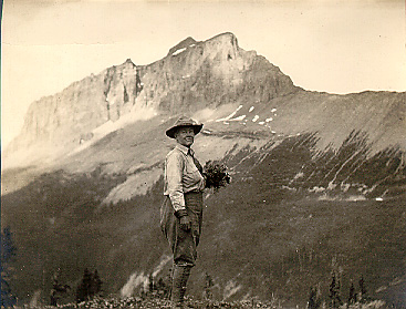 [Mary Walcott collecting flowers in the Canada in the 1920s. Taken by unknown photographer, courtesy of the Smithsonian Archives.]