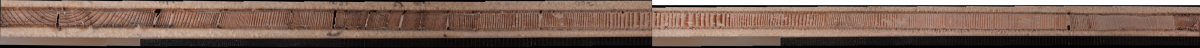 Image shows a tree core, where each line represents a year of tree growth.