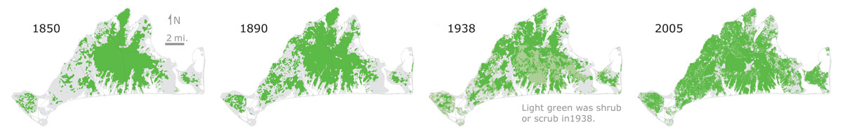 Maps showing how the landscape use has changed over time